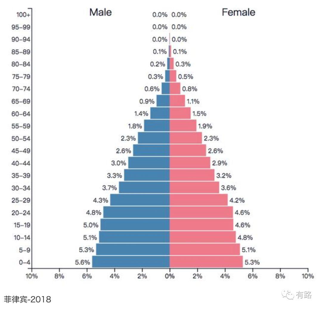 人口年龄平均_人口年龄金字塔(3)