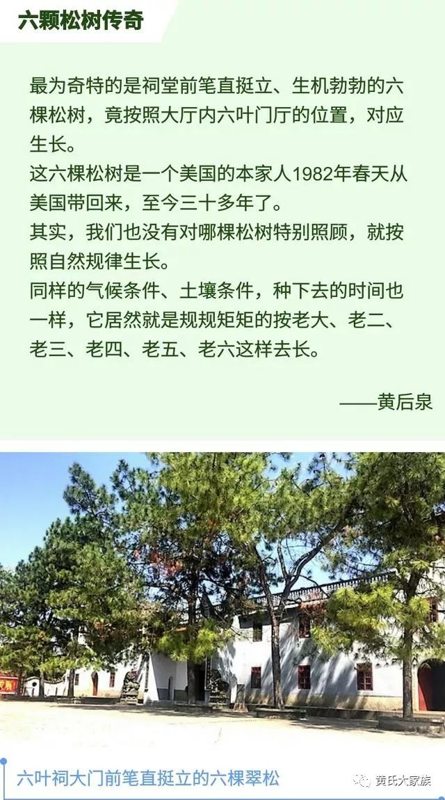 福建省闽清县东桥镇有多少姓余的人口(2)