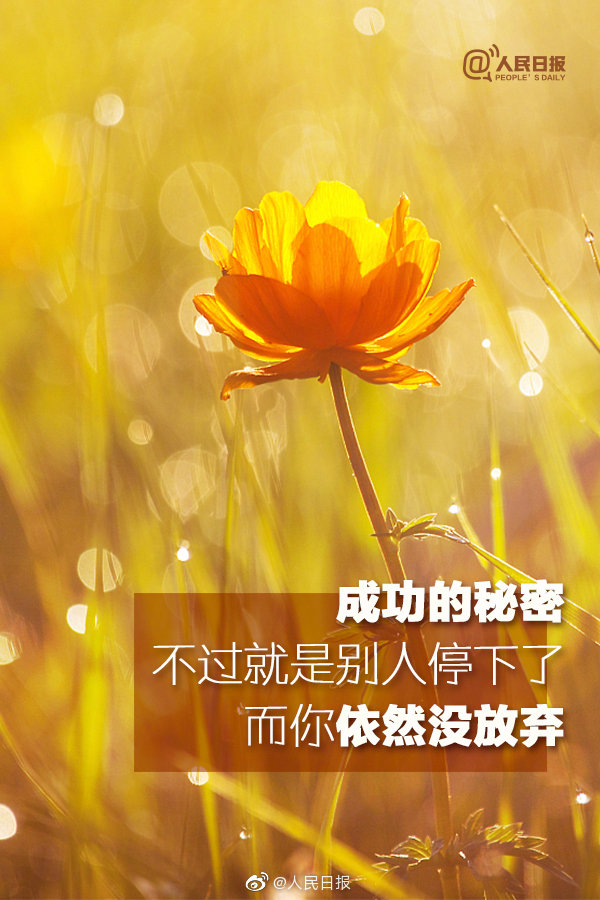 平常心图片手机壁纸 977649e30fd947e7967b7b87f3b0f369.jpeg