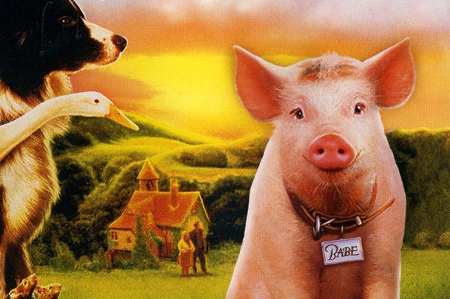 百部儿童电影推存二小猪宝贝babe1995