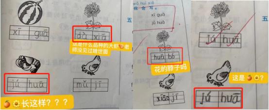 ;菊花被写成hua bo,老师纳闷"花的脖子吗?