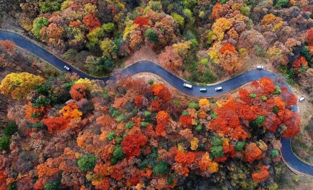 南充到巴中首开动车,只需3小时13分钟!还将加