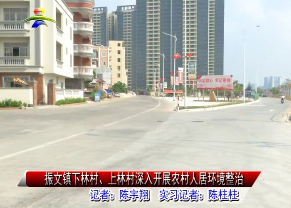 吴川振文镇各村人口_吴川杨屋村人口(3)