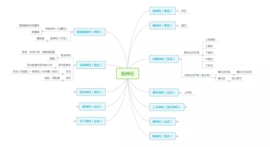 周围神经脑神经图谱以及思维导图