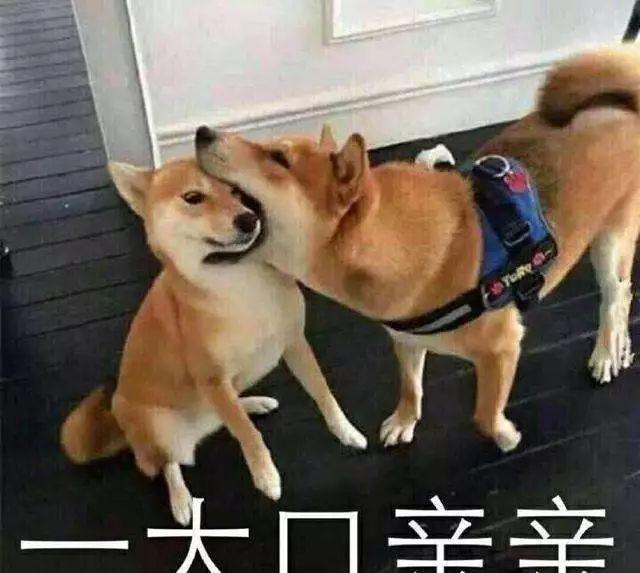 d0e16a31a7be435cadf6092b18eb106c.jpeg