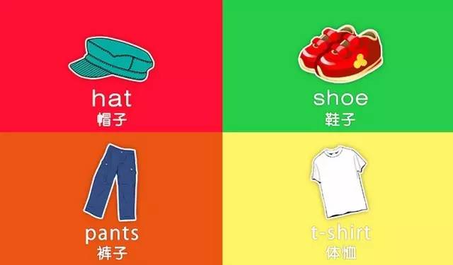 今天让我们来学衣物类和昆虫类的词汇咯 1.