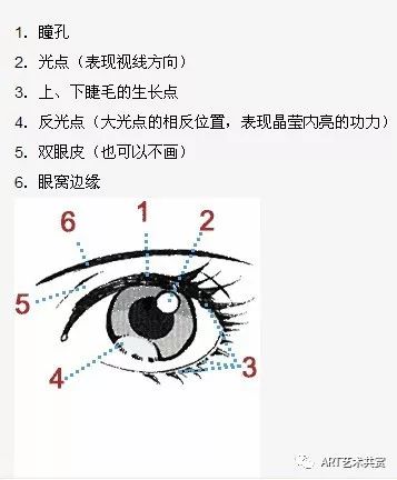 眼眸简谱_儿歌简谱