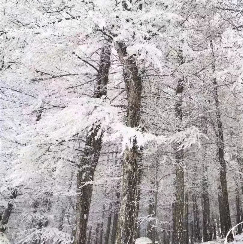 张家口下雪啦