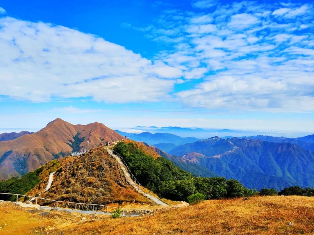 30日-12月02日】赏醉美银杏·红沙漠·汝城温泉·脚踏三省万时山草原