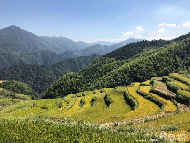 藏在山野的绝美梯田,包揽了广丰最诱人的田园风光!