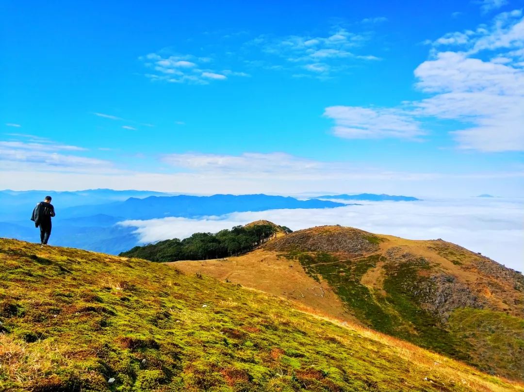 30日-12月02日】赏醉美银杏·红沙漠·汝城温泉·脚踏三省万时山草原