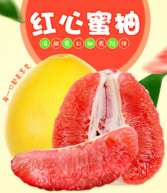 ff949a20708f43d5a50f02f125e4564a.jpeg