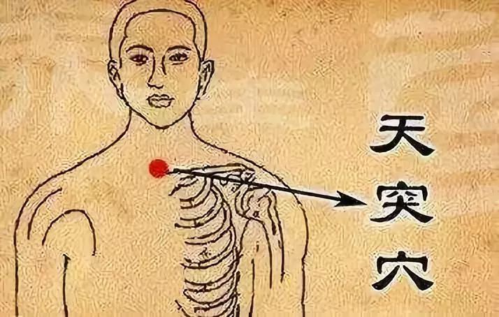 喉骨什么成语_喉骨图片(4)