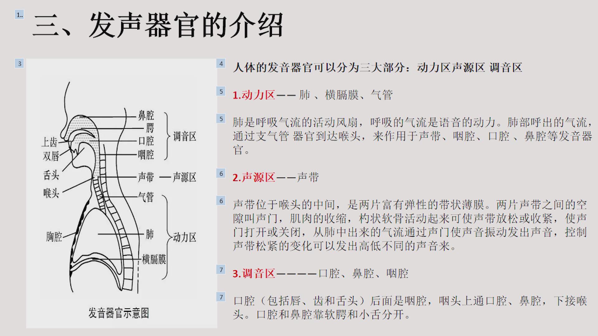 音乐咬字吐字的基本概念及器官介绍