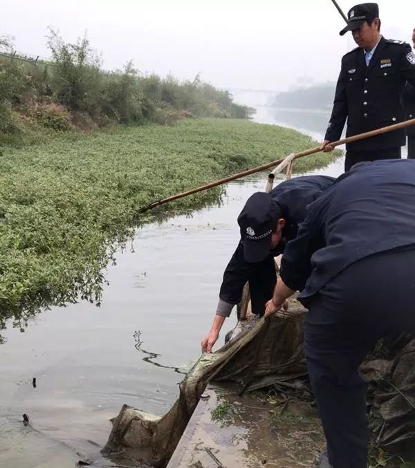 什么走什么疯狂猜成语_疯狂猜成语一个人在三岔路口图片答案揭晓(2)