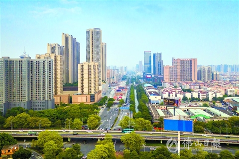 魁奇路(佛山大道至汾江南路段):11月1日起恢复主路双向通行