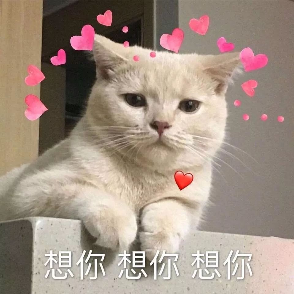 144a45c2a8574c43b3c81c2e113e732b.jpeg