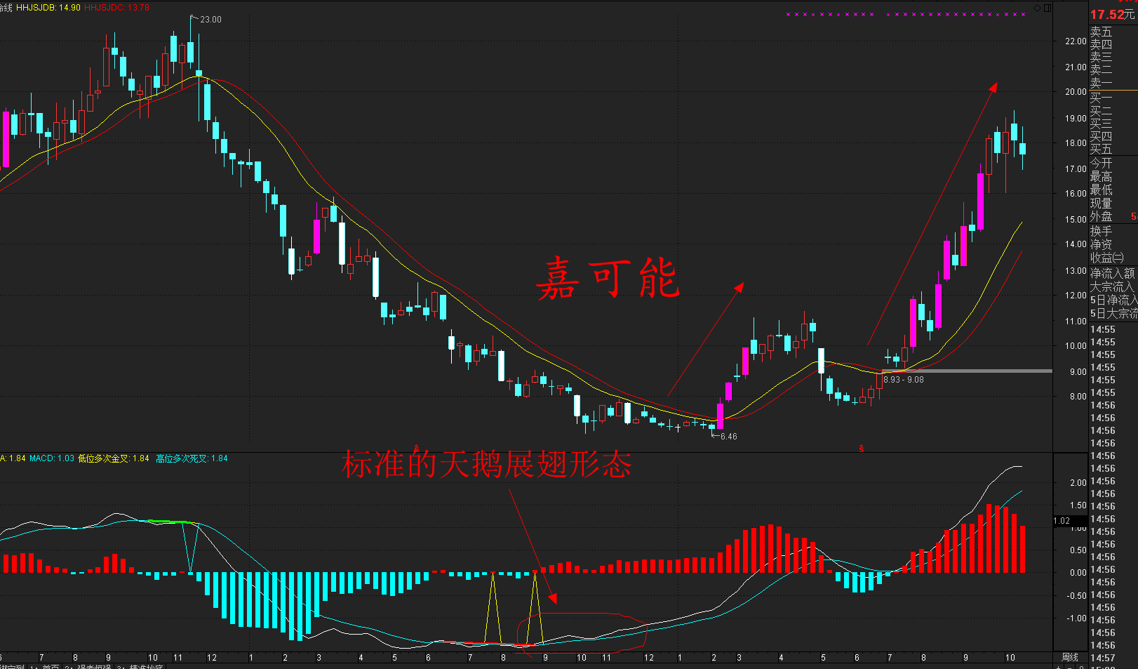 股市看多形态股票macd指标的天鹅展翅形态