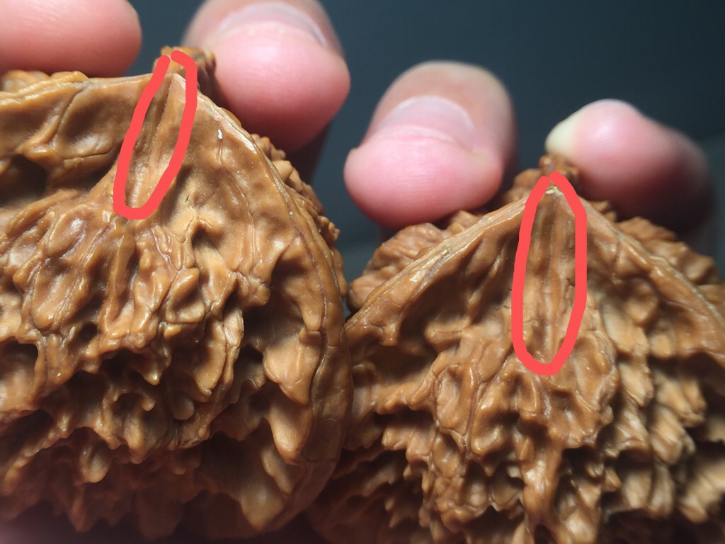 文玩核桃中的“大奔”介绍与真假鉴定方法_搜狐网