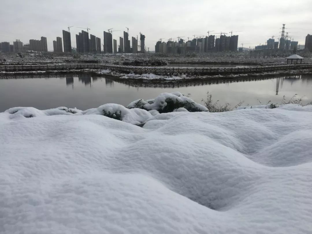 雪后的兰州新区一片洁白静好~兰州新区兴隆山雪景惹人醉小编带你看