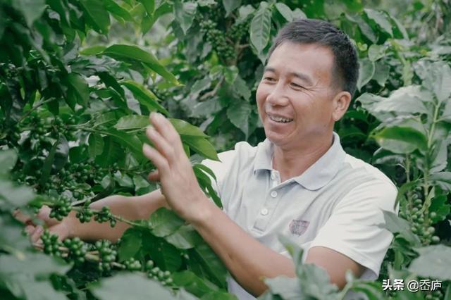 这部关于中国咖啡产地的微电影,讲述了一杯咖