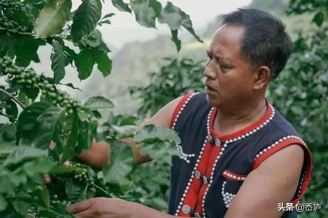 这部关于中国咖啡产地的微电影,讲述了一杯咖
