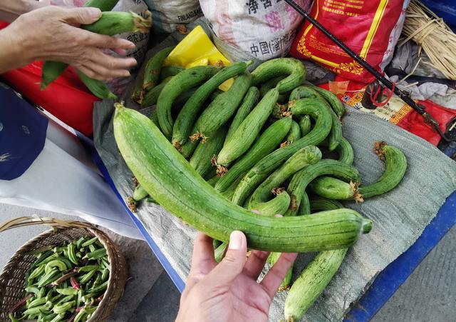 宜兴菜场见闻（组图）