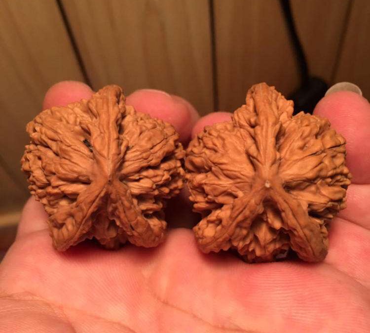 5294ab150d5d4fb3ae7ab9dc6c7582