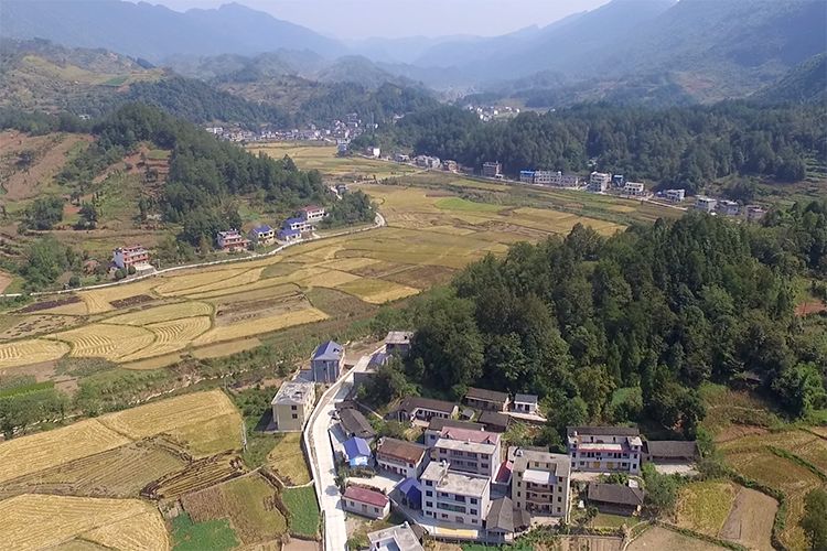 桑植县:今天夏家峪村贫困户领到了分红