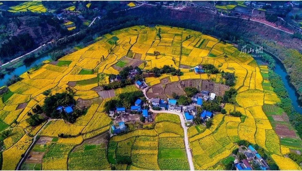 西部百强县市排名_2019中国西部百强县市揭晓:眉山仁寿县上榜了,排在第