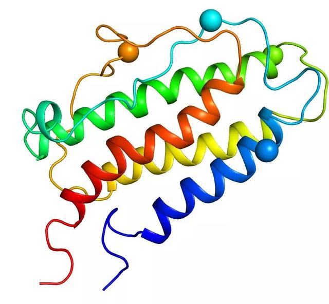 促红细胞生成素erythropoietinepo的研究