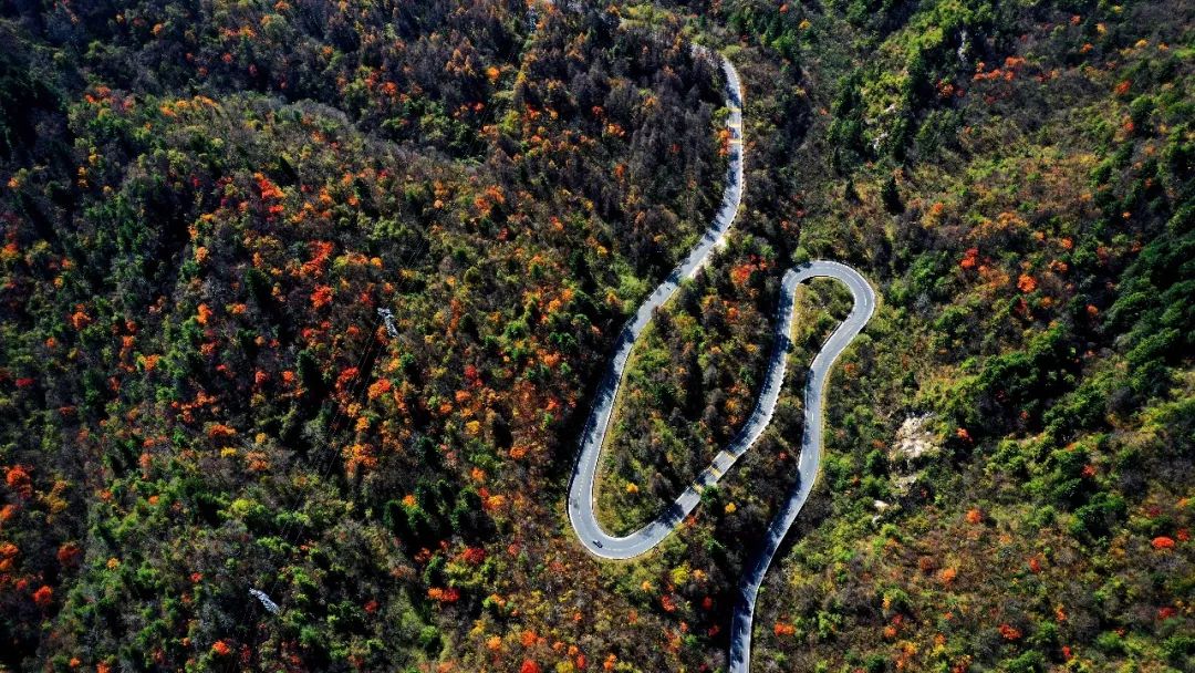 关山远 | 长安兴与废，秦岭千年泪