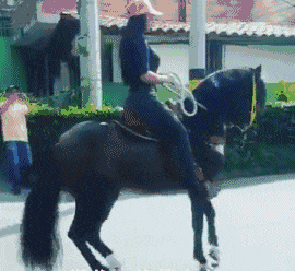 搞笑GIF图：美女你这骑的什么马啊，驮上美女你这小碎步，走的跟跳踢踏舞一样_二舅