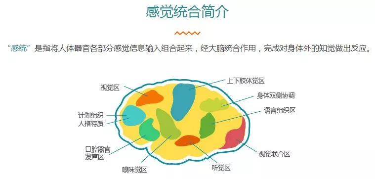 以不同的感觉通路(视觉,听觉,味觉,嗅觉,触觉,前庭觉和本体觉等)从