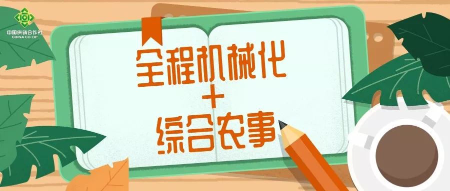 新沂市供销合作总社积极开展服务农业社会化