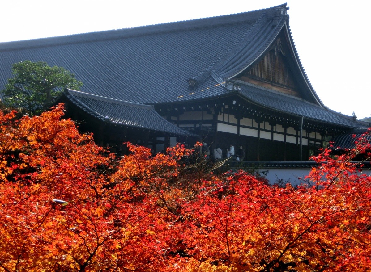 日本京都2019年红叶赏枫网红景点推荐