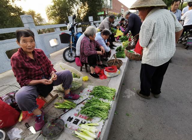 宜兴菜场见闻（组图）