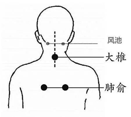 感冒咳嗽，艾灸这些穴位治疗 .艾灸养生