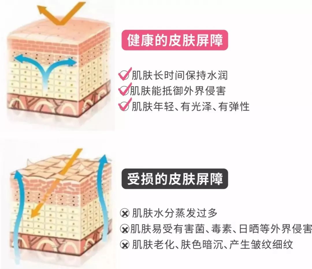 (健康的皮肤屏障与受损的皮肤屏障对比)