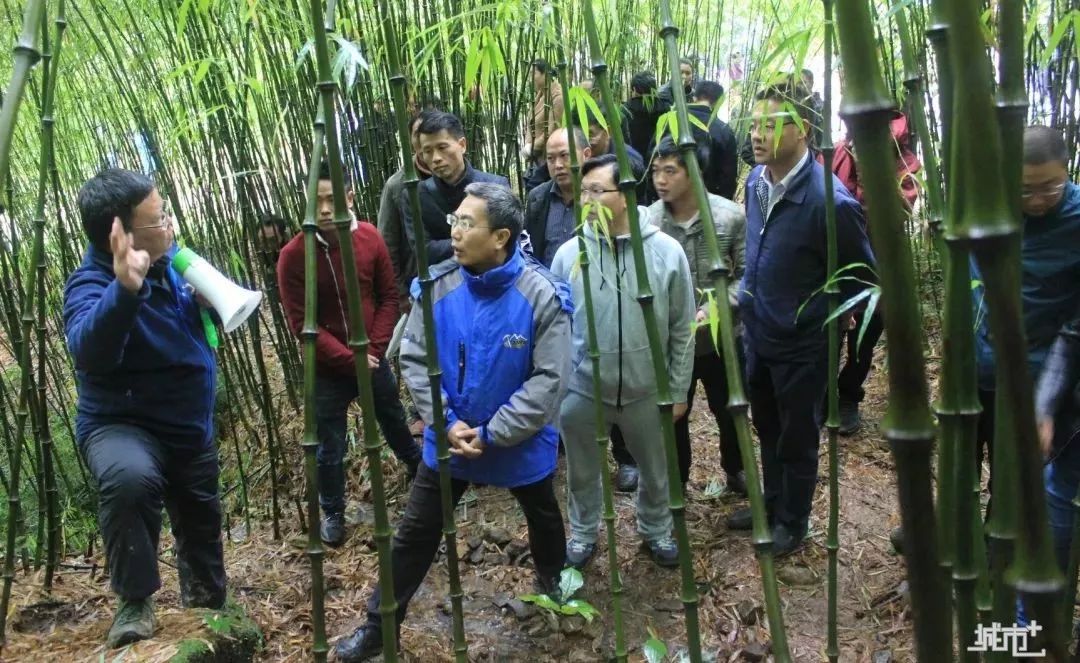 董文渊 情系乌蒙扶真贫科技造血真扶贫