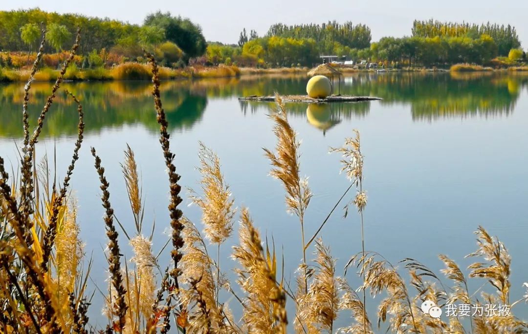 芦水湾生态景区秋色迷人,五彩斑斓,犹如"彩色王国"