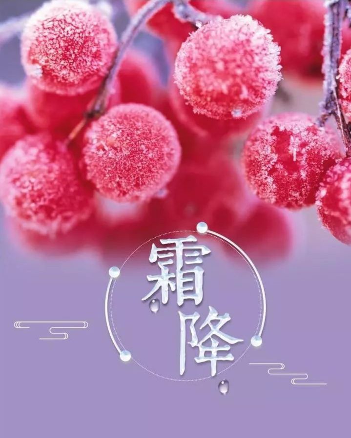 霜降节气图片 c8da2baa8dae4676aa64cae756bd1e8b.jpeg