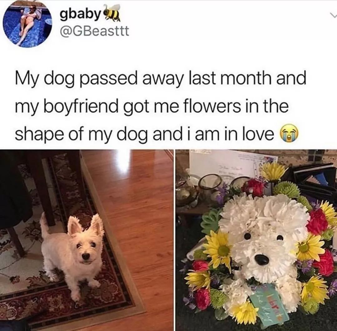 女朋友的爱犬去世，他送了这样一份礼物……