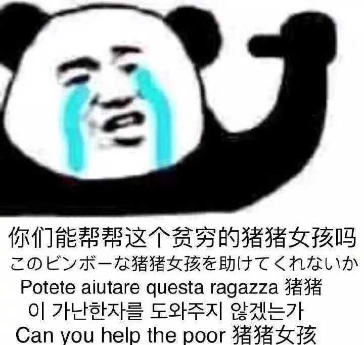 热门斗图表情包 | 开始等过年!