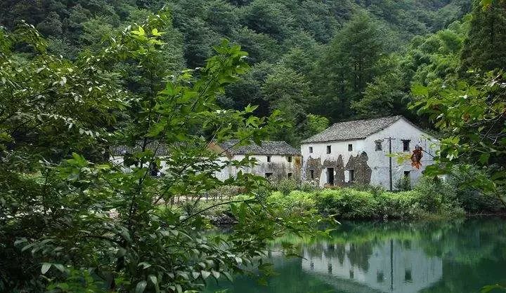 浙江这7座高峰的绝美风景你打卡了几座