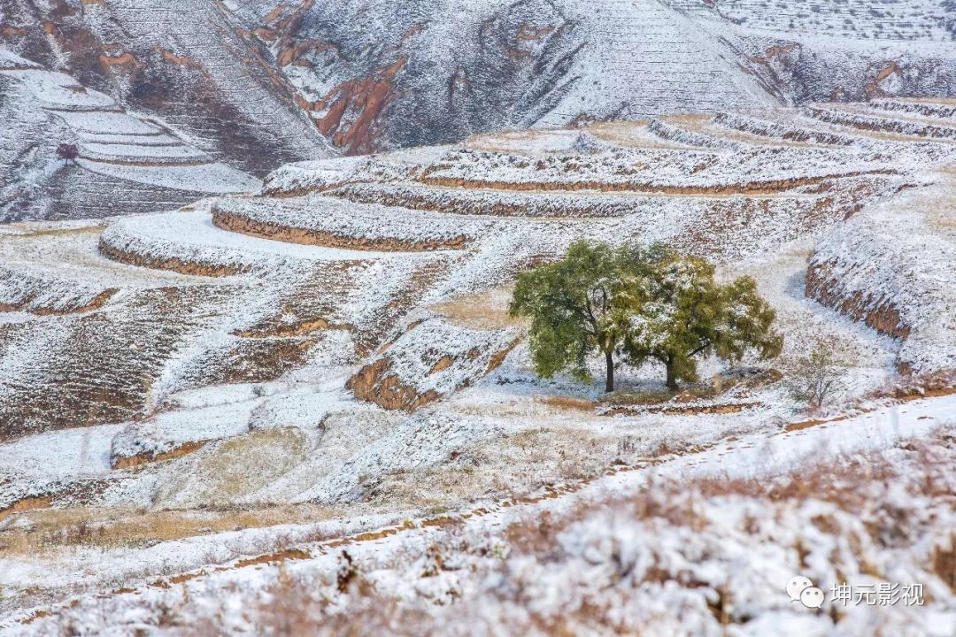 【摄影】美呆了!会宁晚秋的雪景如痴如醉