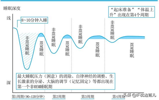 三分钟说生活■辟谣：宝宝多睡才能长高？斯坦福专家：儿童睡眠抓住＂黄金90分钟＂