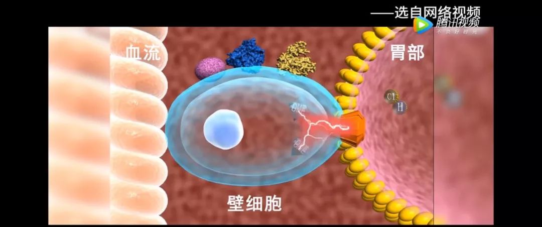 生物大师高中主动运输和胞吞胞吐千与千寻