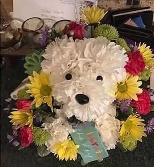 女朋友的爱犬去世，他送了这样一份礼物……