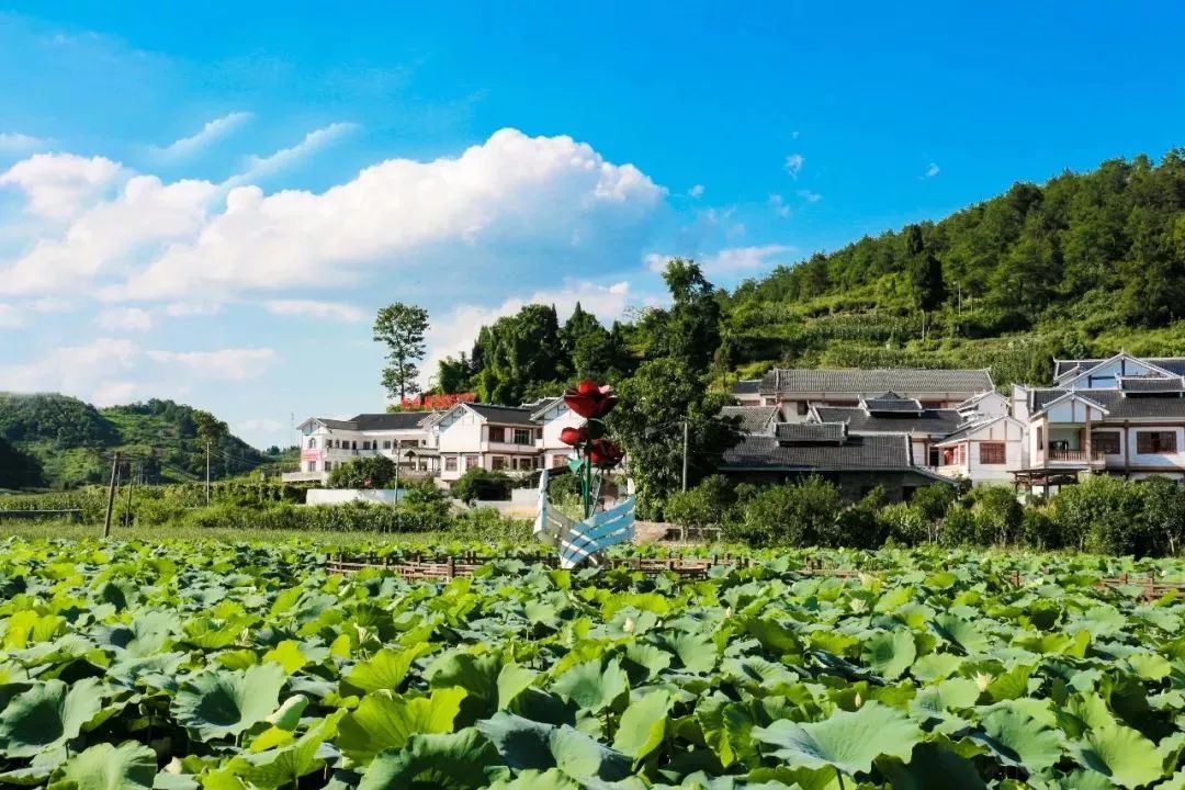 播州区龙坪镇新农村.